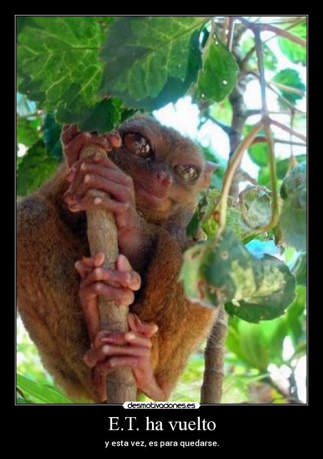 E.T. ha vuelto - y esta vez, es para quedarse.