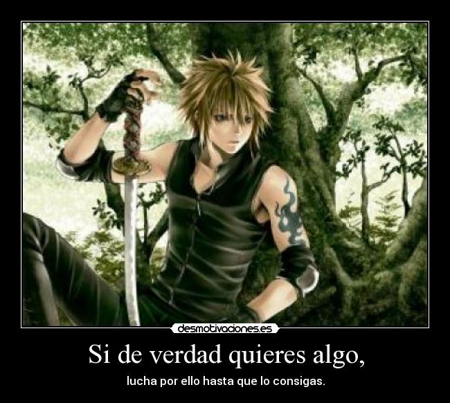 Si de verdad quieres algo, -