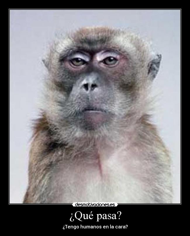 carteles 1981 dddddddddddddddddd aqui por ejemplo desmotivaciones