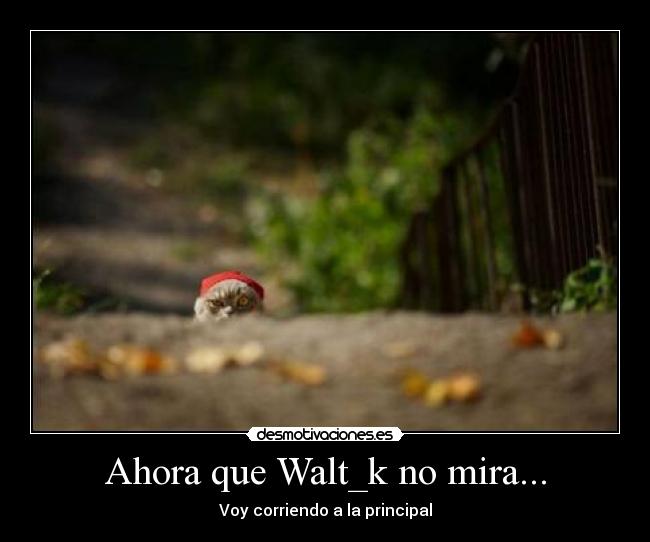 Ahora que Walt_k no mira... - 