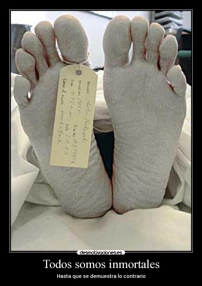 carteles muerte inmortal desmotivaciones