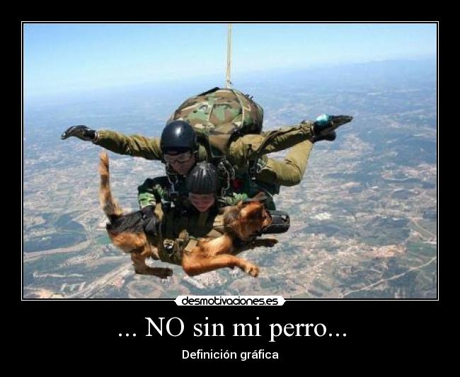 ... NO sin mi perro... -