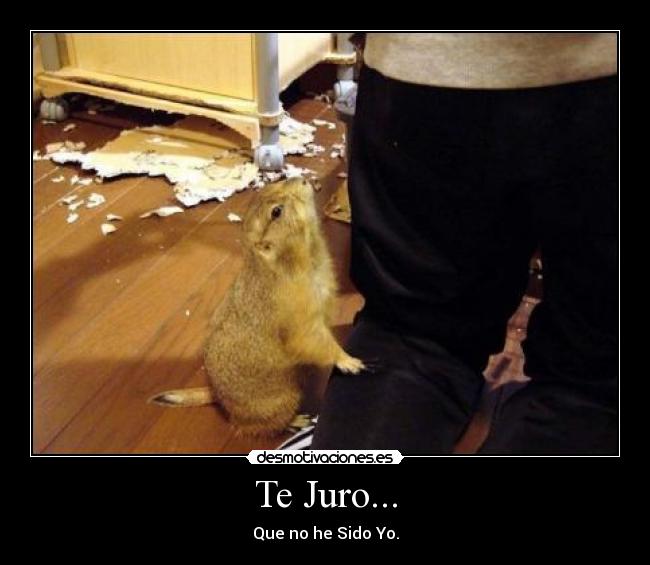 Te Juro... - Que no he Sido Yo.