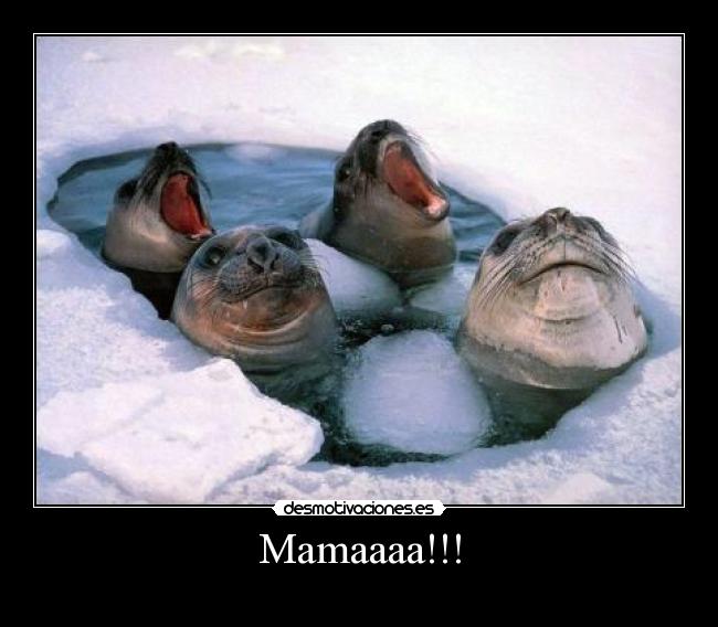 Mamaaaa!!! - 
