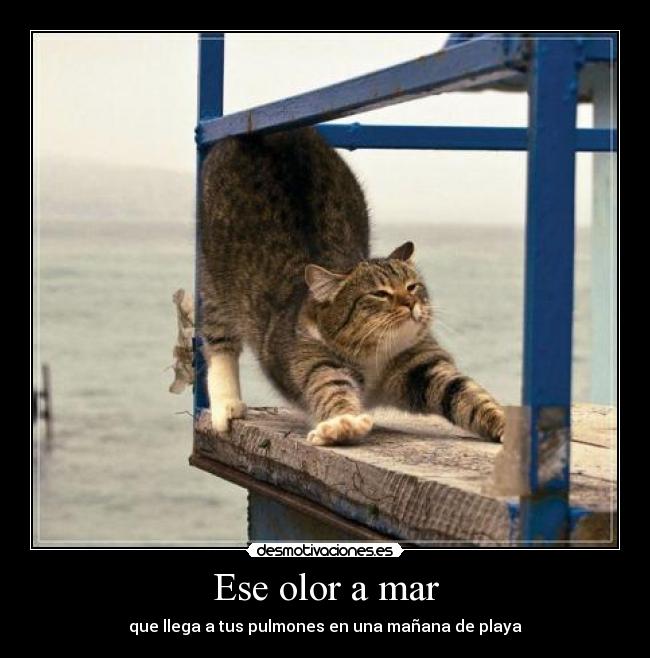 Ese olor a mar -