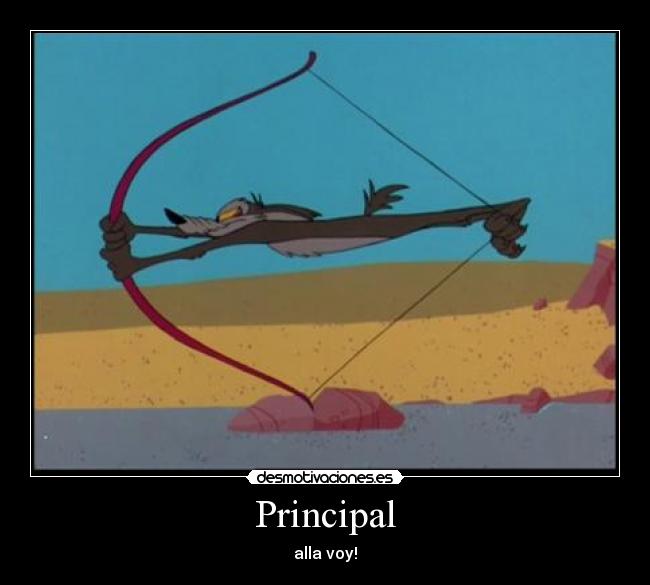 Principal - alla voy!