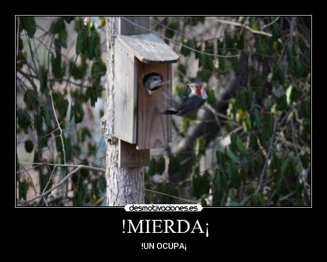 !MIERDA¡ -