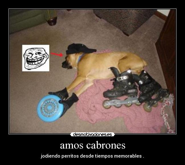 amos cabrones - jodiendo perritos desde tiempos memorables .