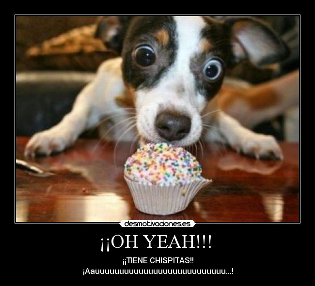 ¡¡OH YEAH!!!  - 