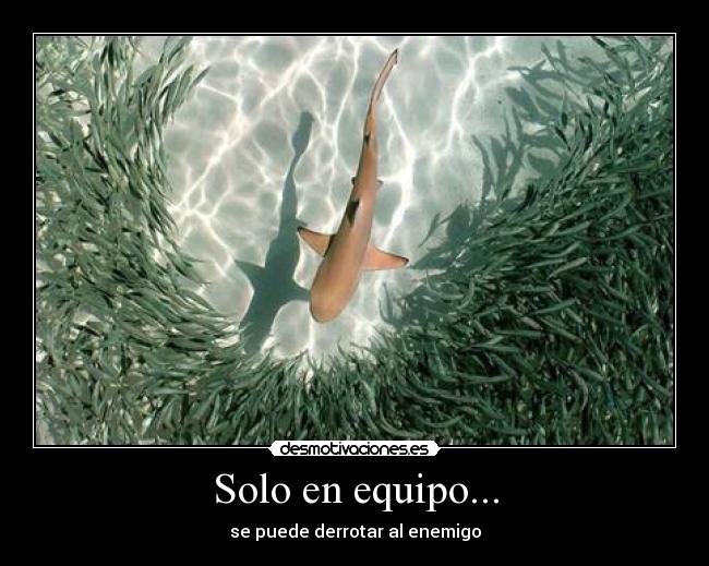 Solo en equipo... - 