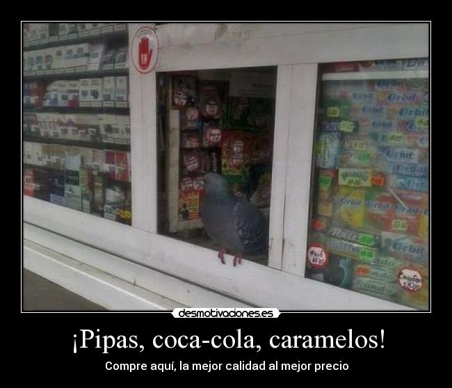 carteles pipas desmotivaciones