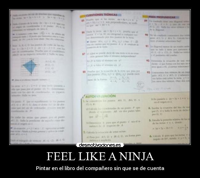 FEEL LIKE A NINJA -