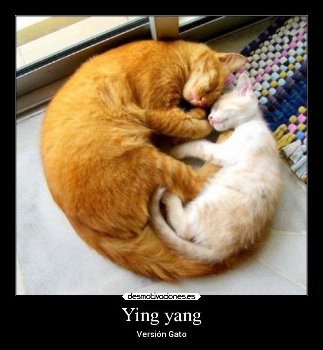 Ying yang - Versión Gato