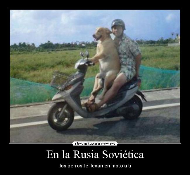 En la Rusia Soviética - los perros te llevan en moto a ti