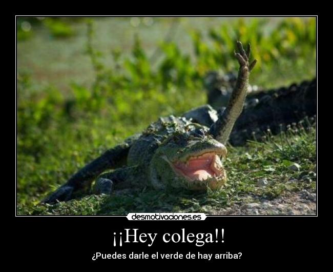 ¡¡Hey colega!! -