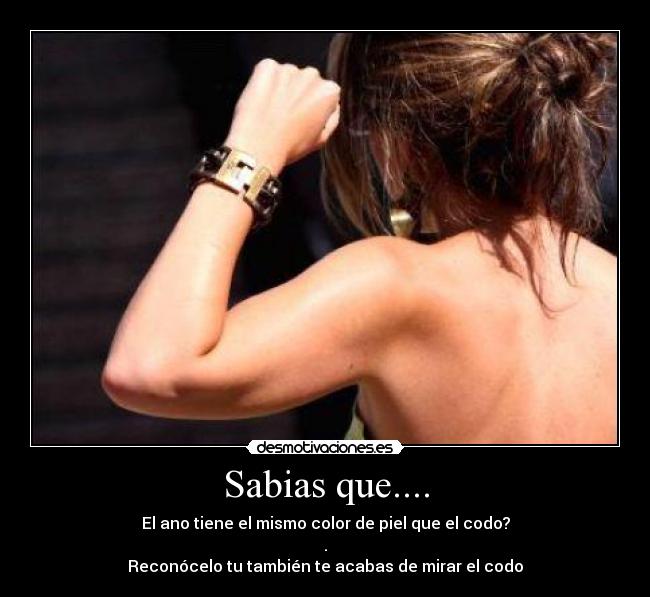Sabias que.... - El ano tiene el mismo color de piel que el codo?
.
Reconócelo tu también te acabas de mirar el codo