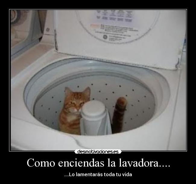 Como enciendas la lavadora.... - ....Lo lamentarás toda tu vida