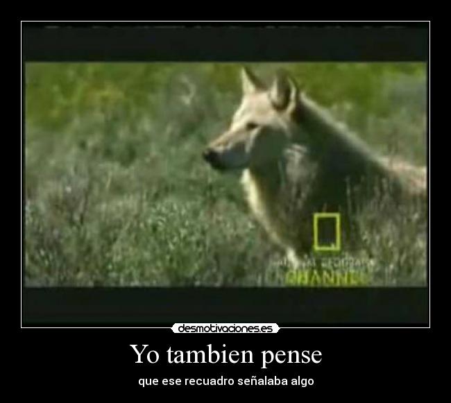 Yo tambien pense - 