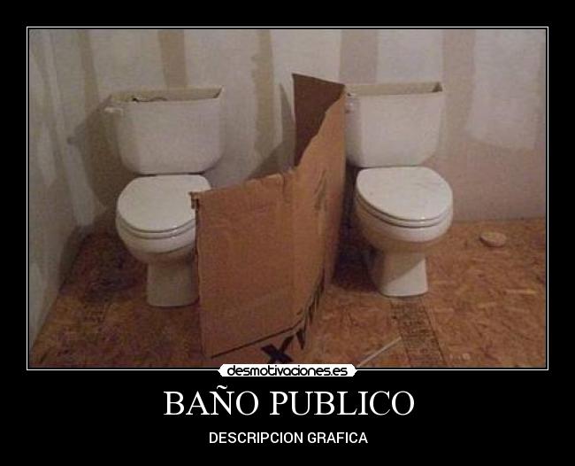 BAÑO PUBLICO - DESCRIPCION GRAFICA