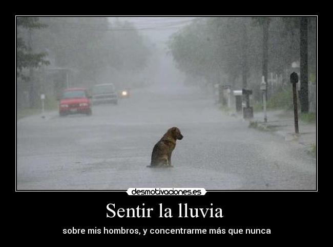 Sentir la lluvia -