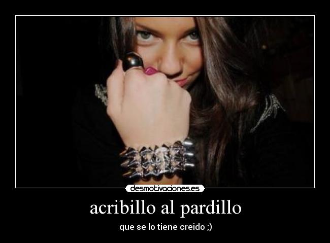 acribillo al pardillo - 