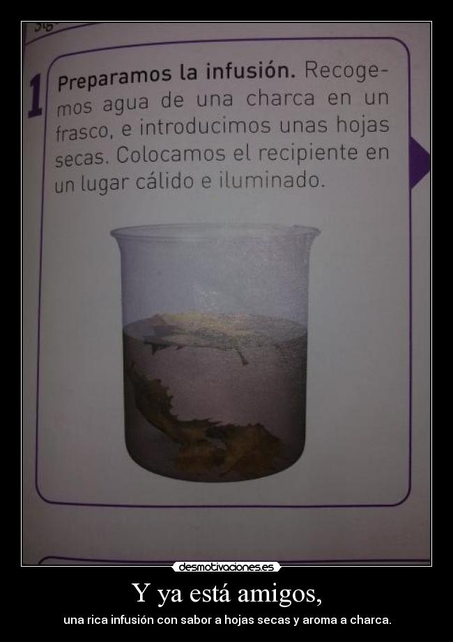 Y ya está amigos, -