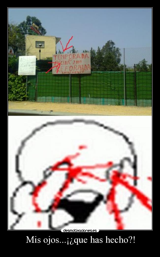 Mis ojos...¡¿que has hecho?! - 