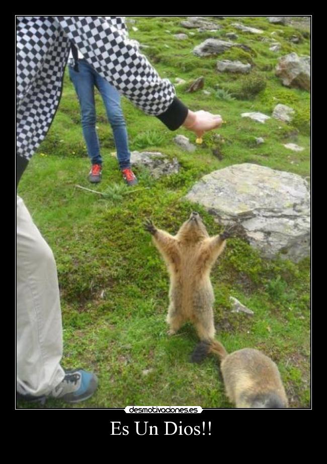 Es Un Dios!!  - 