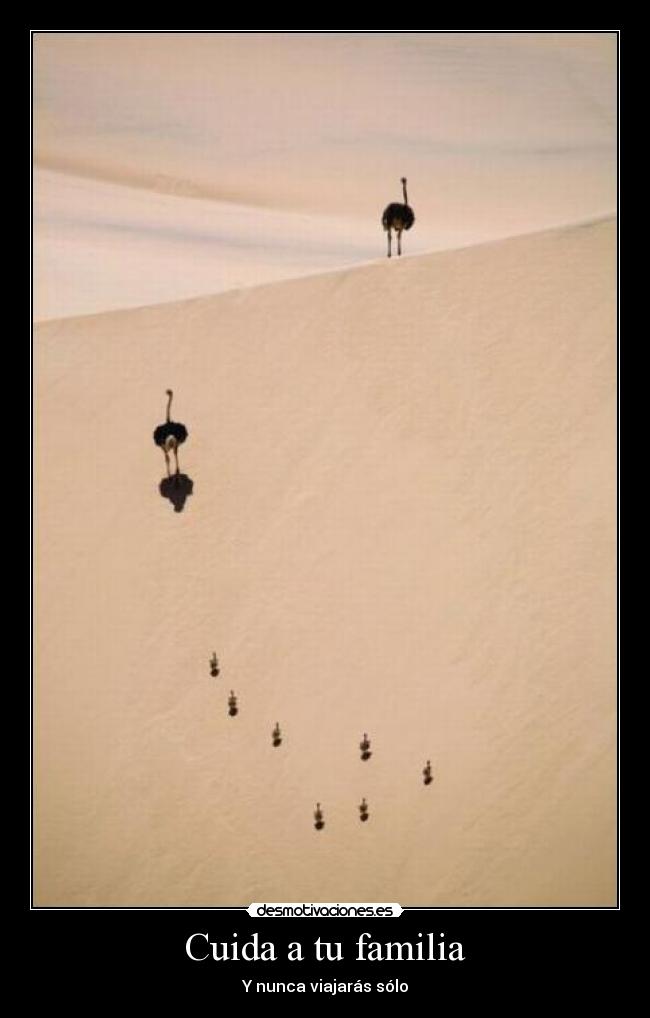 Cuida a tu familia - 