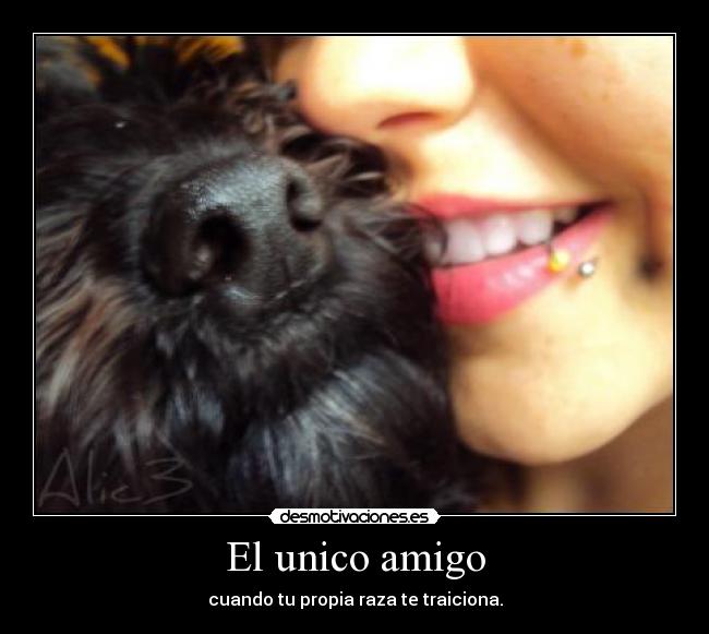 El unico amigo - cuando tu propia raza te traiciona.