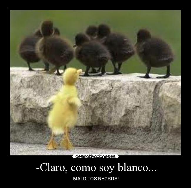 carteles  desmotivaciones