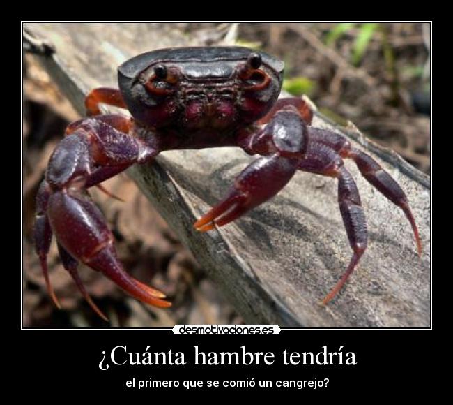¿Cuánta hambre tendría - 