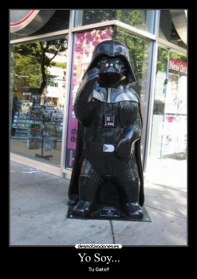 Yo Soy... - Tu Gato!!