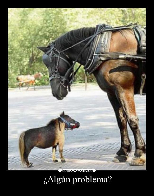 ¿Algùn problema? -