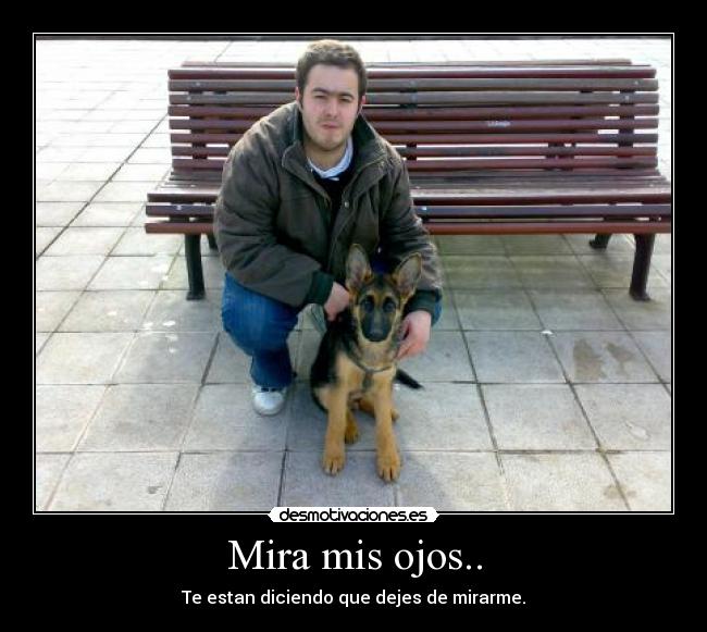 Mira mis ojos.. - Te estan diciendo que dejes de mirarme.