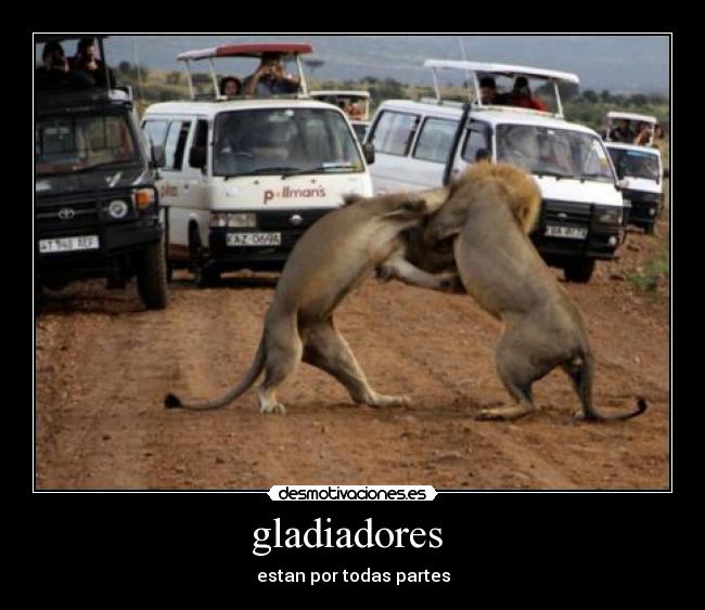 gladiadores - estan por todas partes