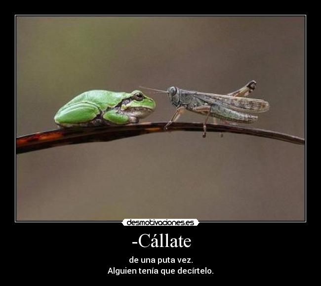 -Cállate -
