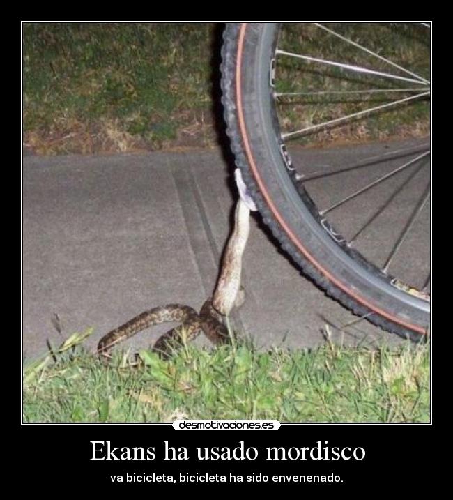Ekans ha usado mordisco -