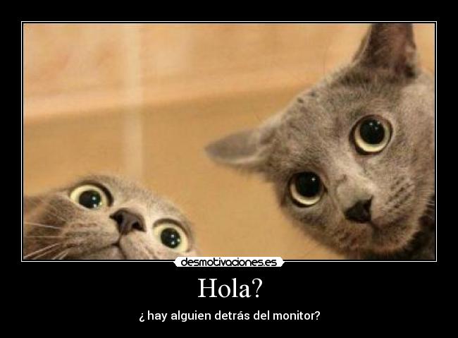 Hola? - ¿ hay alguien detrás del monitor?