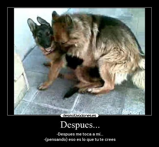 Despues... -
