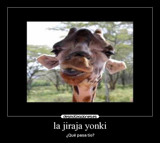 la jiraja yonki - ¿Qué pasa tio?