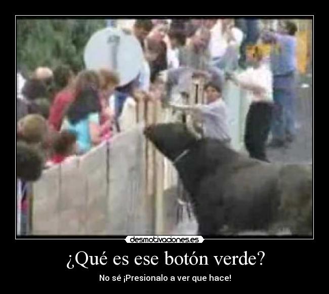 carteles toro desmotivaciones