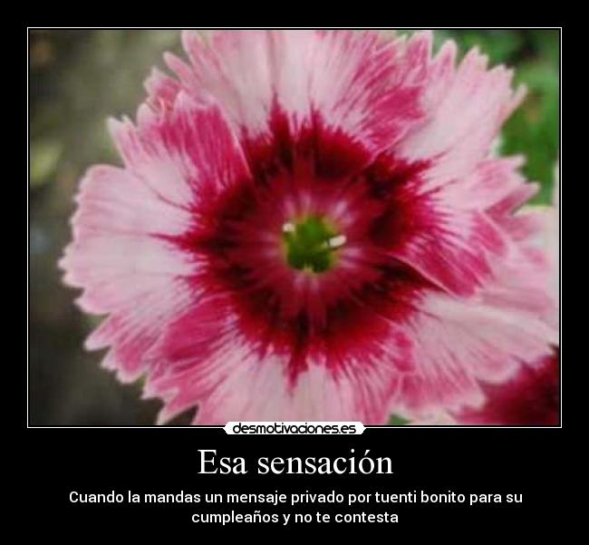 Esa sensación - Cuando la mandas un mensaje privado por tuenti bonito para su
cumpleaños y no te contesta