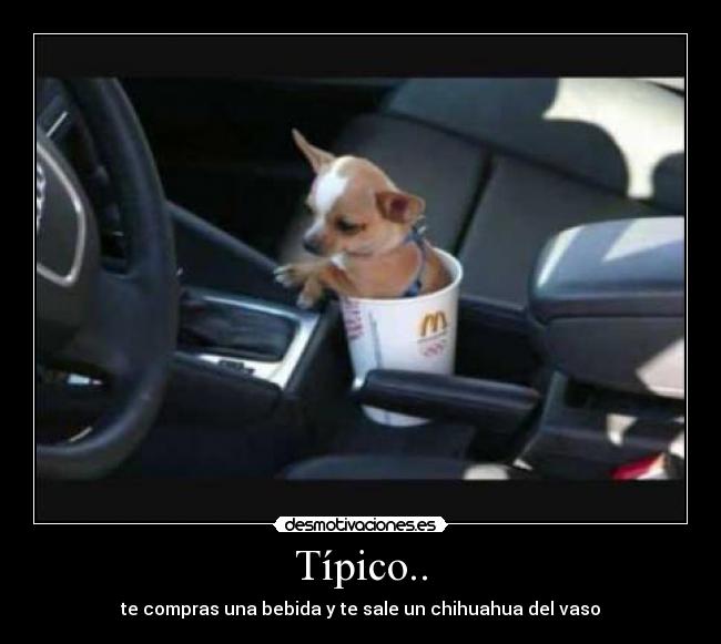Típico.. - 