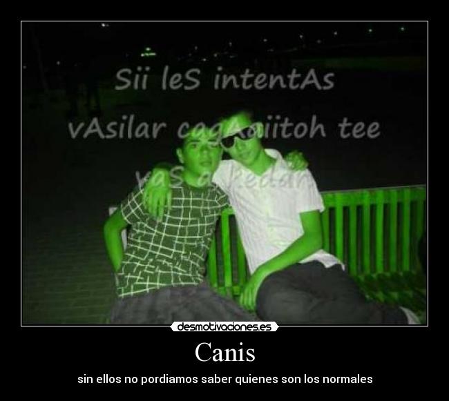 Canis - 