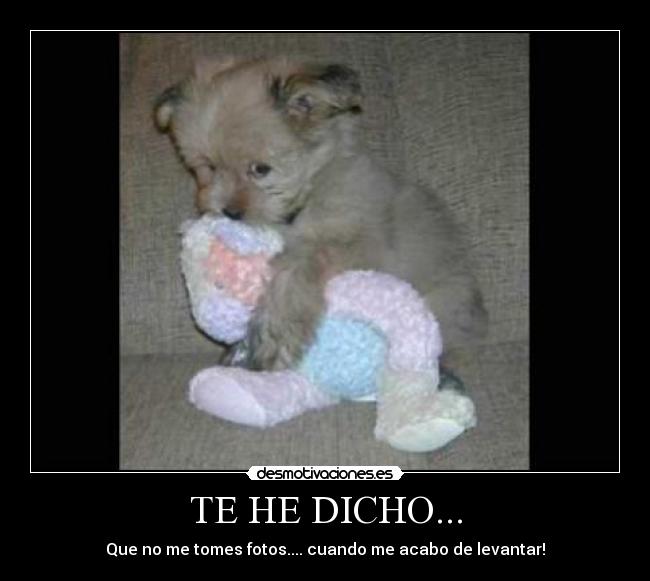 TE HE DICHO... - Que no me tomes fotos.... cuando me acabo de levantar!