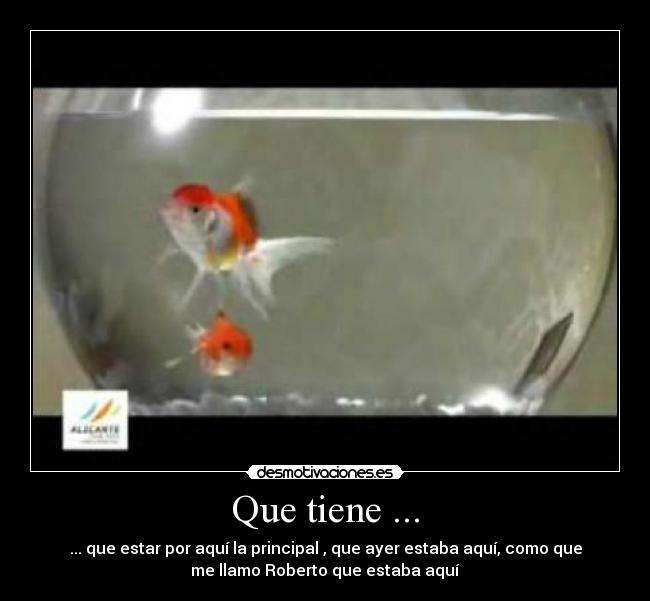 Que tiene ... -