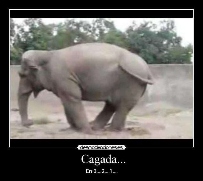  Cagada... - En 3....2....1....