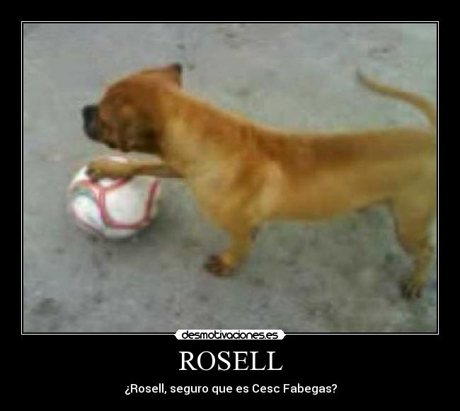 carteles cesc desmotivaciones