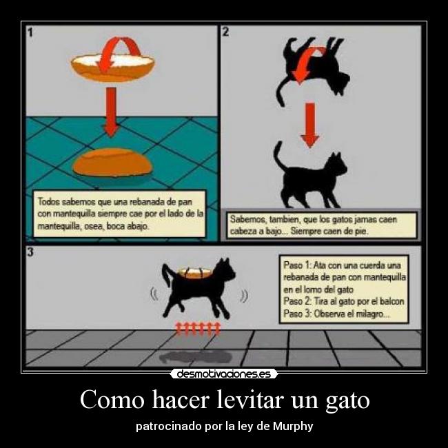 Como hacer levitar un gato -